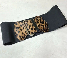 Load image into Gallery viewer, NWOT Dolce &amp; Gabbana Leopard Stretch Belt Sz.85/34” - LuxyBrand
